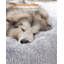 140x140x20cm Polyester Pet Bed-109599174