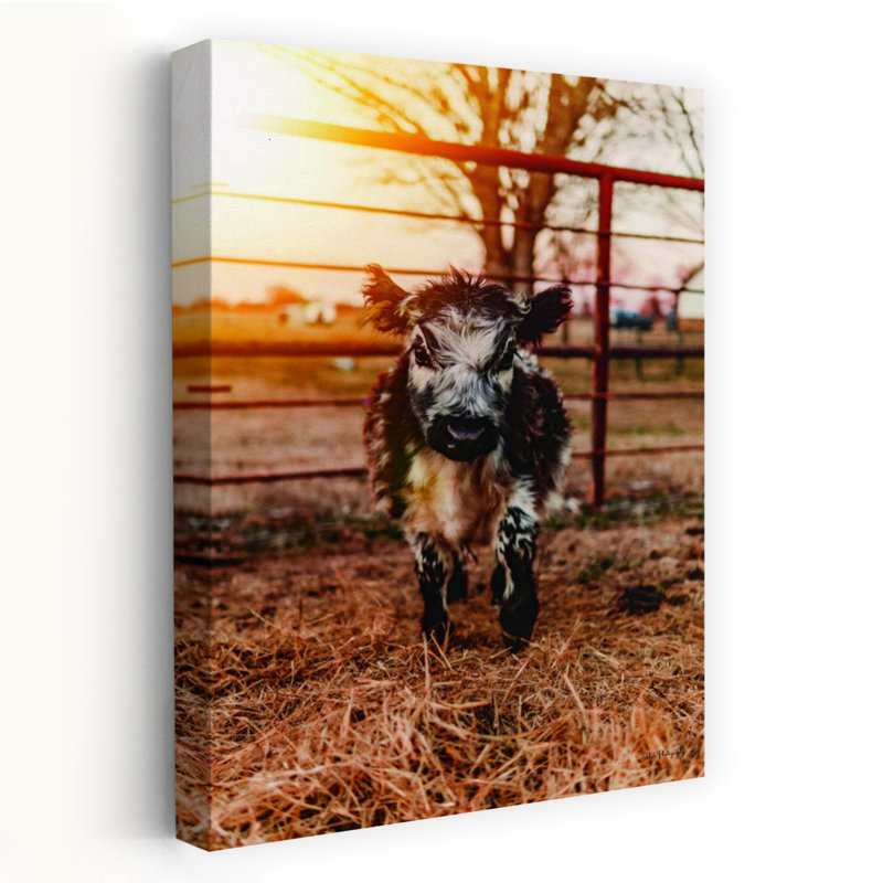 Premier matin abstrait, vache, paysage naturel, art, H 24 po x l 16 po