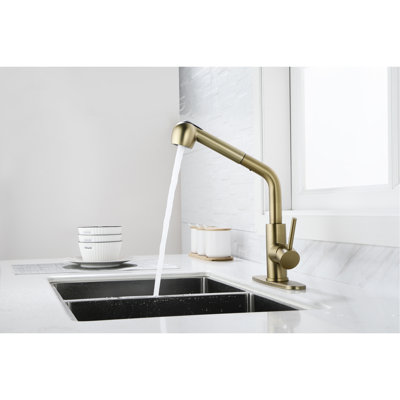 Stainless Steel Gold Kitchen Tap With Dual Spray - Easy Installation Process For Diy Enthusiasts Single Level Faucet In And 360 Degree Swivel Comprehensive Washing