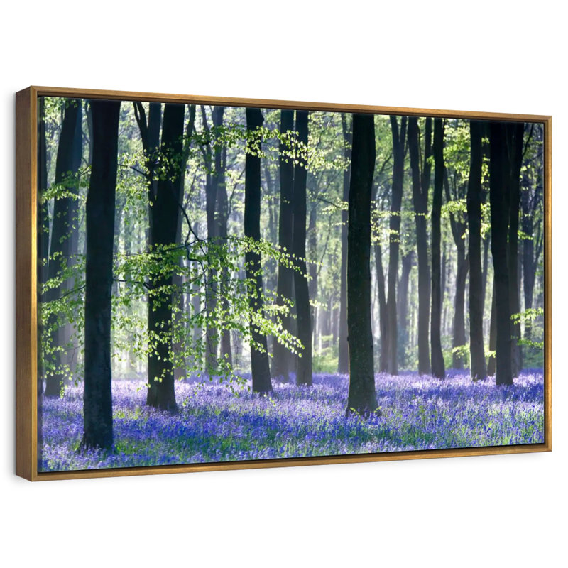 Bluebell Vision, 13 po x 9 po, Cadre flottant doré