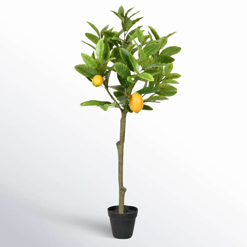Artificial Potted Lemon Tree, 36" H x 20" W x 20" D
