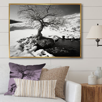 Arbre de solitude noir et blanc en hiver - Paysage d'hiver, art mural salon