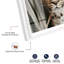 Art mural bord de mer Leopard Gaze II par Notoriart, cadre blanc, 20 x 24-129533076-129533079