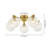 5-Light Mid-Century Glass & Metal Flush Mount Ceiling Light