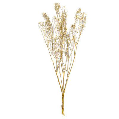 Bouquet d'haleine de 24 po séché blanc naturel Gypsophila, 0,7 oz. Il s'agit d'un produit naturel. Les dimensions et la couleur peuvent varier d'une plante à l'autre.