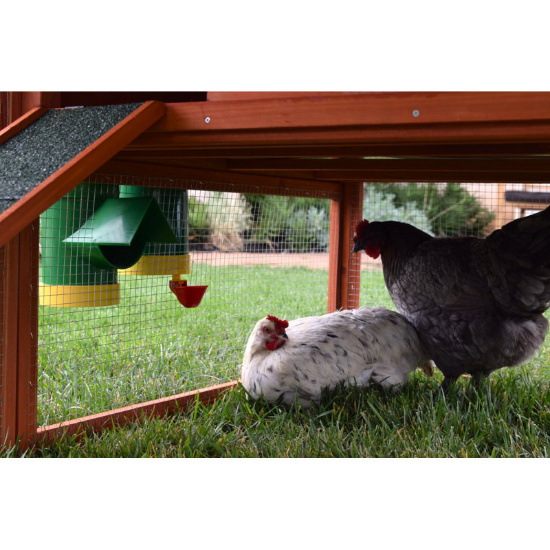 Greta Plastic 2 Gallons Waterer