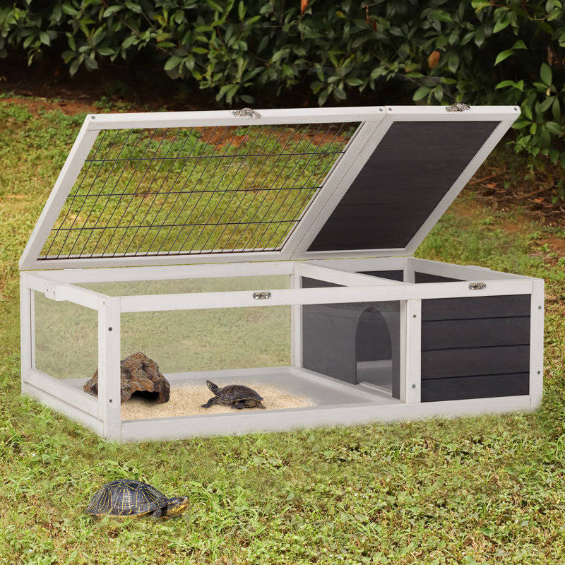 Rehausse de tortue Tracie
