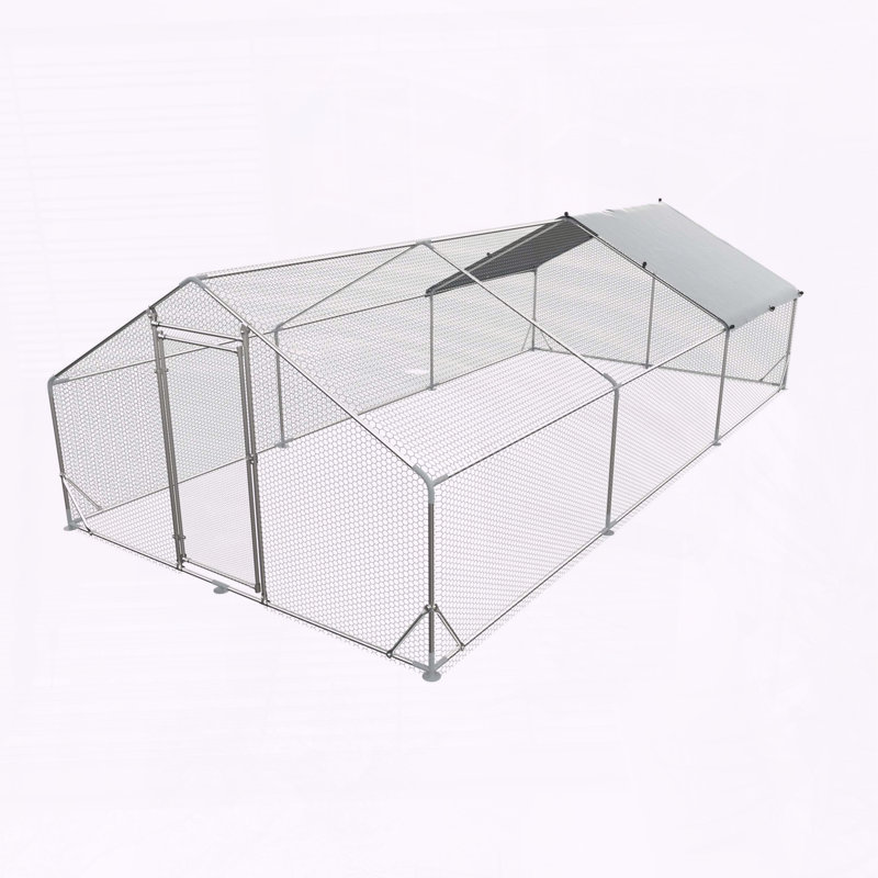 Grande cage à poulets en métal avec couvercle, H 77 po x l 236 po x P 118 po