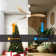 52 In. 3 Reversible Blades Adjust Height Ceiling Fan With Dimmable Led Light & Remote Control