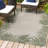 Caherty Coastal Cottage Palm Frond Border Green/Cream Indoor/Outdoor Rug-420698139