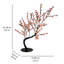 Bonsaïs illuminés et branches-22104822
