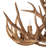 Jamius 9 - Light LED Novelty Chandelier