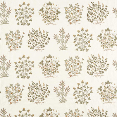 Highgrove Thyme Walk