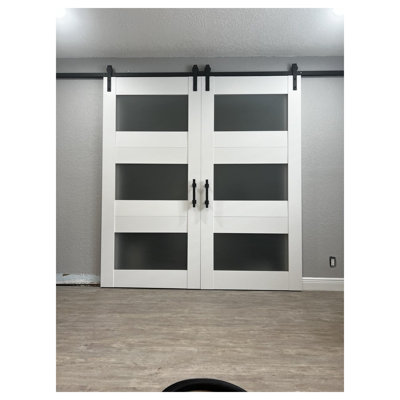 Ensemble de portes de grange doubles modernes 6003, rail de 4 m (13 pi), portes intérieures à panneaux pleins - 122 cm x 203 cm (48 po x 80 po) (2 x 61 cm x 203 cm) - Rail argenté