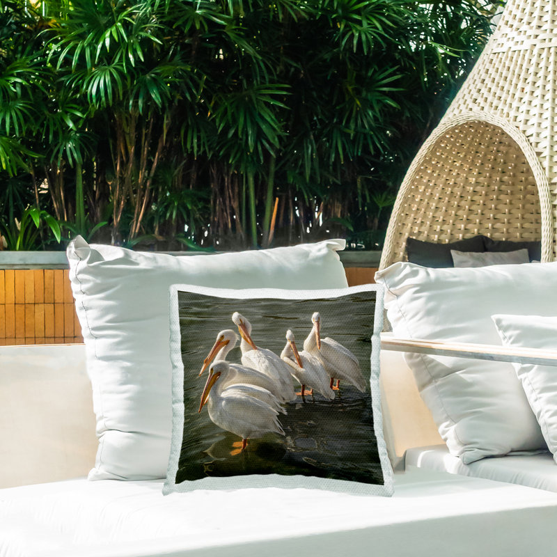 Coussin d'extérieur imprimé Seaside Pelicans Preening par David Lorenz