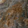 Splendor 23.7'' W x 47.25'' L Porcelain Singular Tile