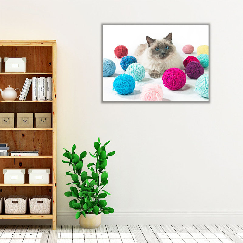 Chat avec boules de laine - reproduction d'art sur toile, H 18 po x l 24 po