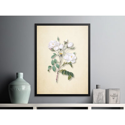 Anson Print