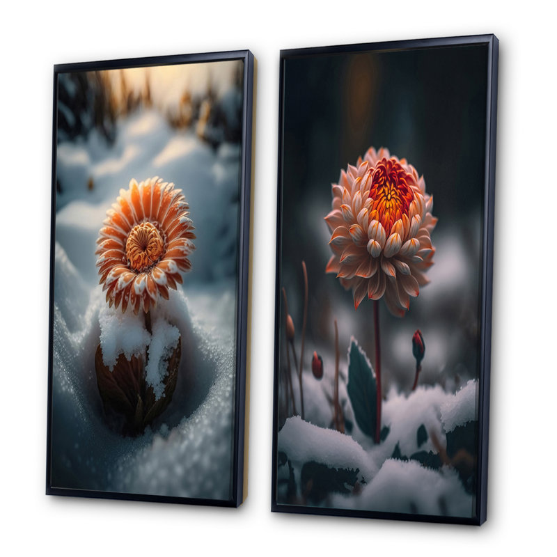 «A Blooming Light Orange Gerbera Flower In Winter», 2 pièces sur toile, Cadre noir, H 20 po x l 24 po