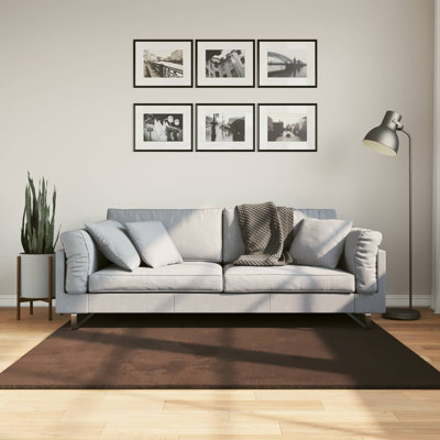 Modern Indoor Rug