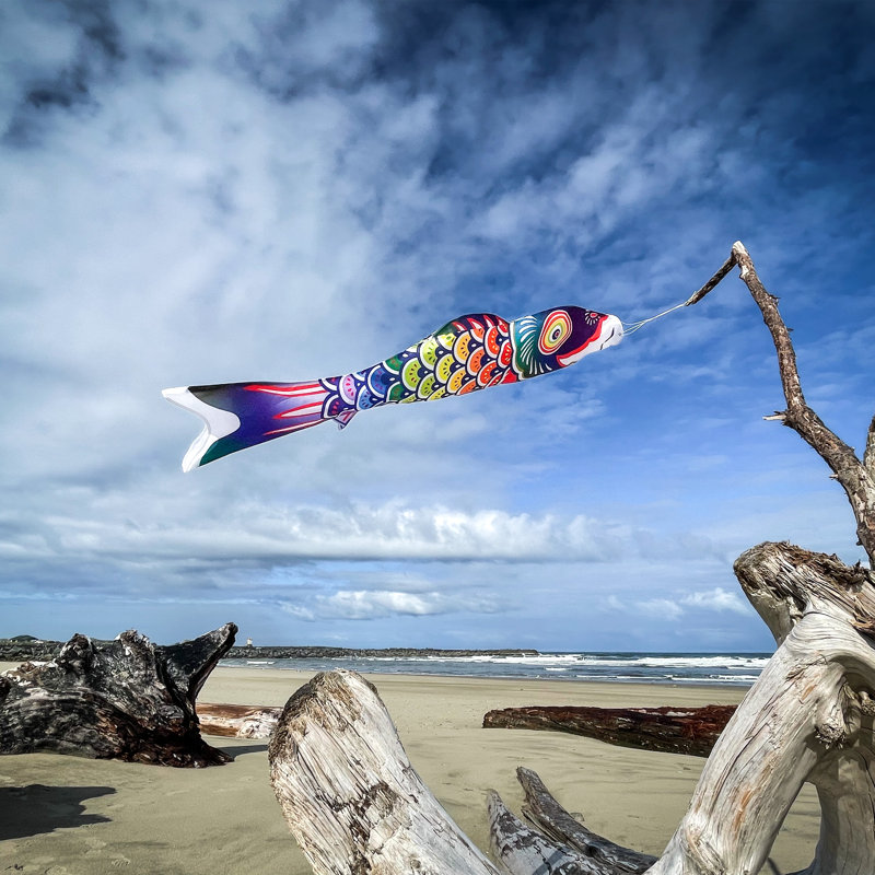 Spectre Koi Fishsock, H 38 po x l 8 po, Mauve / Vert / Jaune