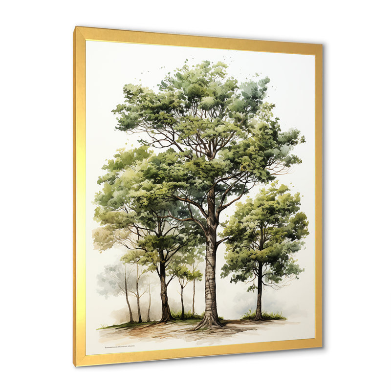 «Tree Oaks Simplicity II», reproduction d'art sur toile, Cadre doré simple, H 20 po x l 12 po x P 1 po