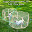 Cage pour chien, chenil pour chat, tente pour animal de compagnie portative, parc 2 en 1 pour chien et chat avec coussins de peluche, parc pour chien