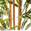 90cm Bamboo Tree in Pot
