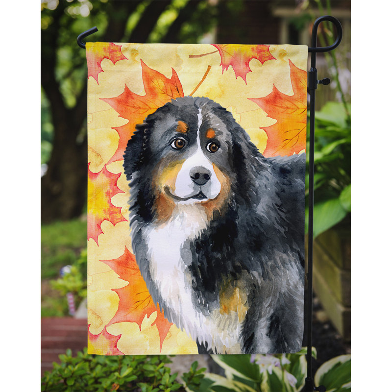 Automne 2 côtés en polyester 15 x 11 po drapeau de jardin, Bouvier bernois noir