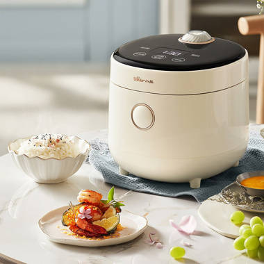 IMUSA USA GAU-00023 Electric Rice Cooker with Steam Tray Stainless