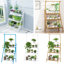 Hunley Plant Stand-352633342-352633343