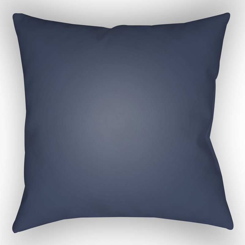  Indoor/Outdoor Throw Pillow, 18" H x 18" W x 4" D, Blue