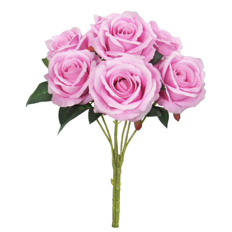 Velours rosier, Rose