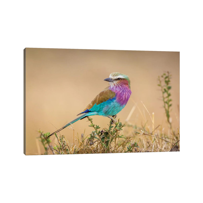 God's Gift To The Sky by Jeffrey C. Sink - Wrapped Canvas Gallery-Wrapped Canvas Giclée, 66.04 cm H x 45.72 cm W x 3.175 cm D