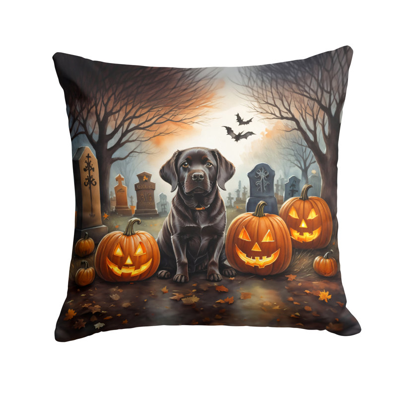 Other/No Pattern Outdoor Throw Pillow, 18" x 18"