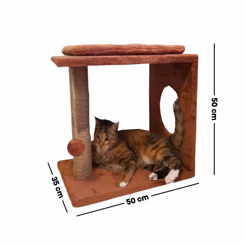 Grattoir pour chat