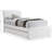 Pittenger Linen Textured Fabric Twin Trundle Bed-97582927