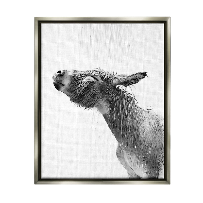 Éclaboussure de salle de bain Donkey, H 21 po x l 17 po x P 1,7 po, Cadre flottant gris lustré