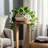 Ceramic Planter Lattice Design Fauna-Inspired Home And Garden Decor - 7" White