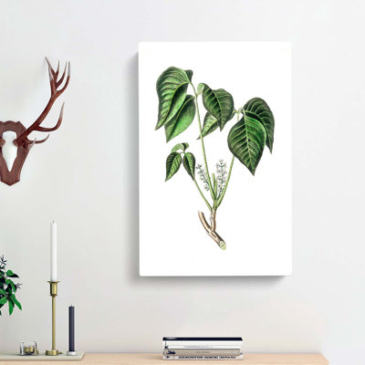 Poison Ivy Illustration - Wrapped Canvas