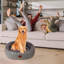 Tapis pour chat Winter Winter-131216777