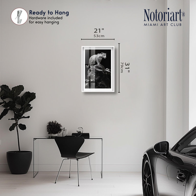 «Phantom Feline I Shadowbox» par Notoriart, H 31 po x l 21 po, Blanc