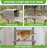 Outdoor Cat Enclosure