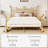 Retro Style Teen Girls Dream Crown Shaped Metal Platform Bed, No Box Spring Needed-1637844001-1637844012