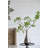 Glass Table Vase