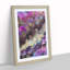 New Day in Abstract - Framed Print-55727741-86304935