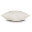 Viola Cotton-40207363-40207358