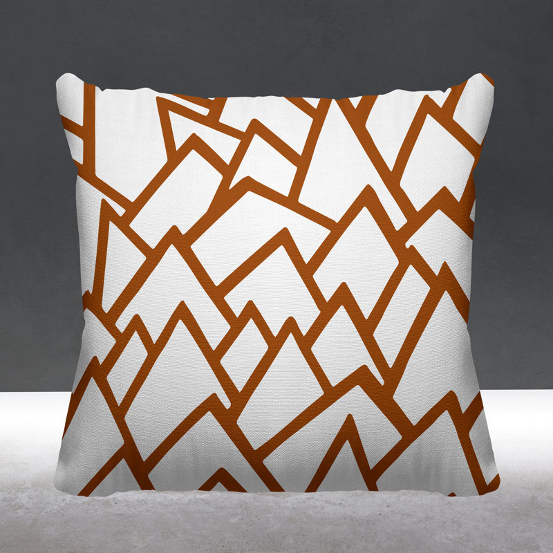 Coussin décoratif intérieur / extérieur Rowan, L 19 po x H 19 po, Orange brûlé