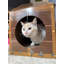 Lit pour animal Durousseau