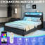 Lit de rangement en métal Eyve-88580978-99587190